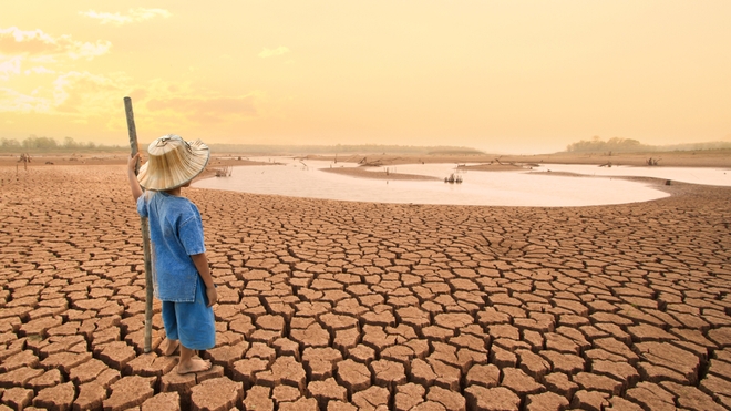 La hausse des températures affecte déjà la production agricole dans certains pays d'Afrique
