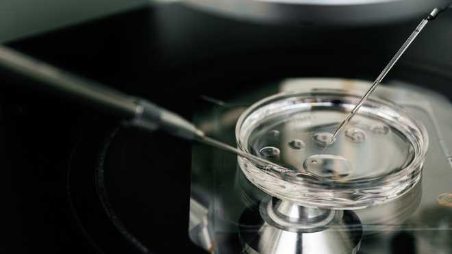 La fécondation in vitro est enfin possible à Libreville, au Gabon