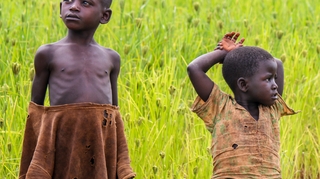 En Afrique, au moins une personne sur quatre souffre de faim "alarmante"