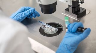 Fécondation in vitro au Gabon : vers une success story ? 