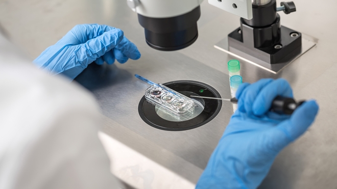 Les fécondations in vitro commencent au Gabon 