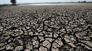 Malnutrition, paludisme, diarrhée... le changement climatique fait des ravages en Afrique