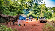 Cameroun, RD Congo, Centrafrique... ces pays africains où la variole du singe sévit en 2022