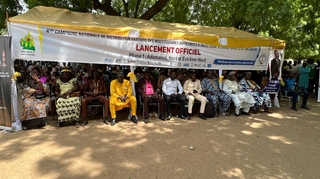 Pour sauver des vies du paludisme, le Cameroun distribue de nouvelles moustiquaires