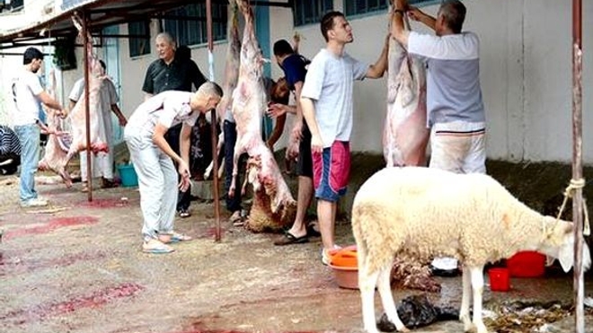 Le kyste hydatique est un problème de santé publique en Algérie