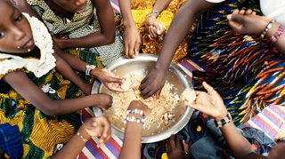 Le soja, un "remède" efficace en cas de malnutrition