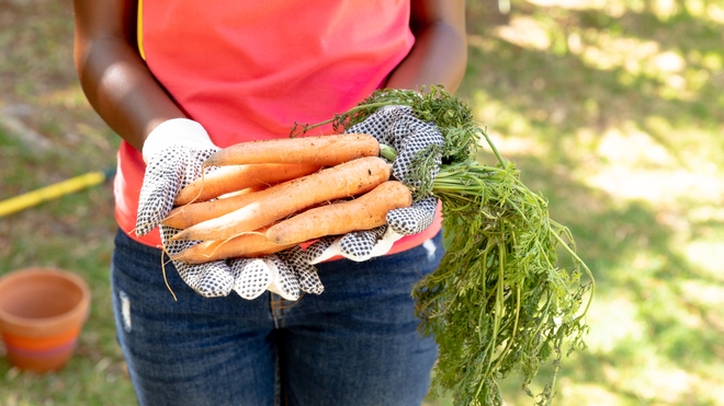 Non, le jus de carotte ne soigne pas le cancer du sein