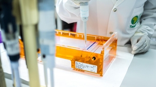 Mais où est donc le RTS,S, le premier vaccin recommandé contre le paludisme ?