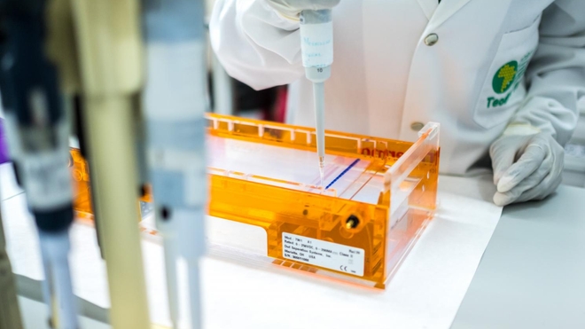 Les stocks du vaccin RTS,S sont très limités