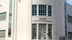 Ebola, Marburg et la fièvre Lassa... l'Institut Pasteur de Dakar lance la riposte ouest-africaine 