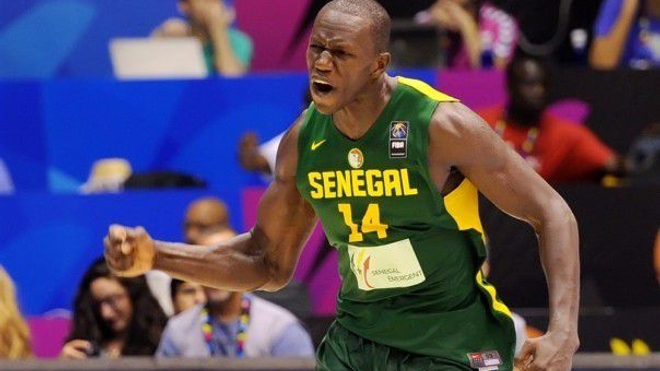 La star des parquets, Gorgui Dieng
