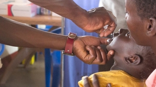 La polio dérivée d'une souche vaccinale, c'est quoi au juste ?