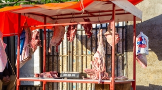 La viande contient trop d'antibiotiques en Algérie, et c'est un problème