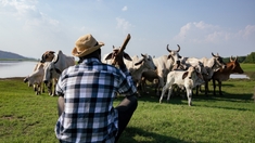 Les zoonoses gagnent du terrain en Afrique