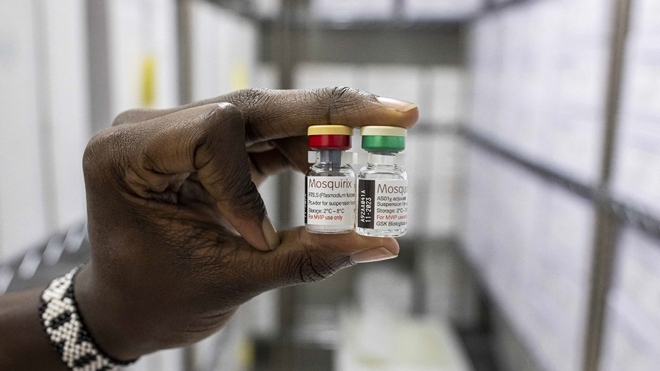 Le vaccin antipaludique RTS,S sera distribué sous la marque Mosquirix