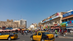 La fièvre du Congo tue au Sénégal 