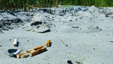 Le tabac, un poison pour les terres d'Afrique