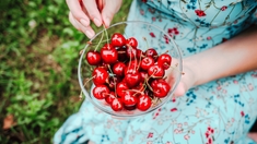 Boire de l'eau après avoir mangé des cerises provoque-t-il vraiment des maux de ventre ?