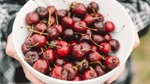 Est-ce que les cerises font grossir ?