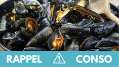 Salmonelles : des moules rappelées dans toute la France