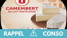 Listeria : ce qu'il faut savoir sur le vaste rappel de camemberts contaminés