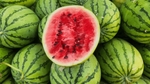Quels sont les aliments les plus désaltérants ?