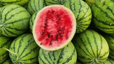 Quels sont les aliments les plus désaltérants ?