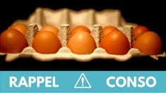 Auchan, Carrefour Leclerc... rappel d'œufs contaminés par des salmonelles