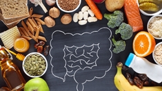 Quels sont les aliments les plus faciles et les plus difficiles à digérer ?