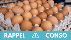 Pourquoi ces œufs font l'objet d'un rappel