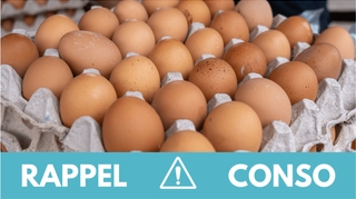Pourquoi ces œufs font l'objet d'un rappel