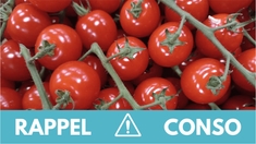 Rappel produit : ne consommez pas ces tomates cerises