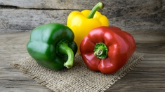 Poivron rouge, vert ou jaune : lequel est le meilleur pour la santé ?