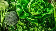 Quelles sont les meilleures sources de vitamine K ?