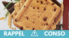 Rappel produit : ne consommez pas ces biscuits aux pépites de chocolat