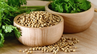 Quels sont les bienfaits de la coriandre ?