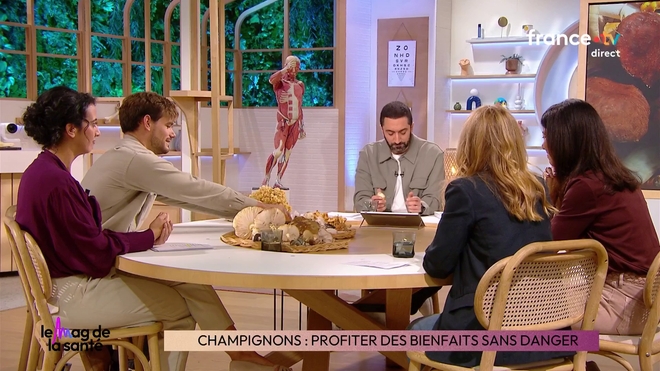 Champignons : leurs bienfaits pour le microbiote