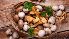 Voici pourquoi les champignons sont les alliés de votre digestion