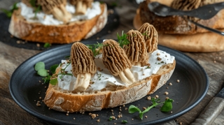 Faut-il faire cuire tous les champignons ou peut-on les manger crus ?