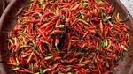 Le piment est-il bon pour la santé ?