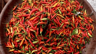 Le piment est-il bon pour la santé ?