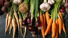 Quels sont les fruits et légumes de saison en décembre ?