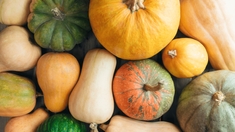 Quels sont les bienfaits des courges ?