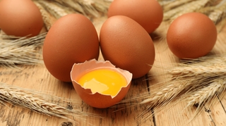 Cholestérol, diabète... peut-on manger des œufs sans risque ?