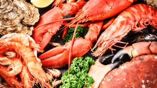 Homard, langoustines, crevettes... Quels sont les bienfaits des crustacés ?