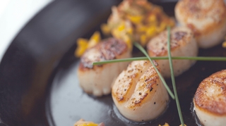 Quels sont les bienfaits des coquilles Saint-Jacques ?