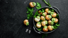 Quels sont les bienfaits des escargots ? 