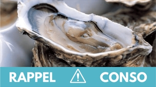 Gastro-entérites : ne consommez pas ces huîtres contaminées