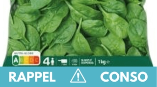 Insectes et larves : ne consommez pas cette salade en sachet