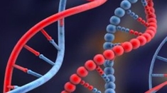 Les mutations d'un gène dans plusieurs formes rares de cancers